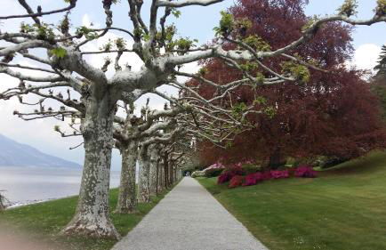 Apartment A lago private beach and parking - Foto 45