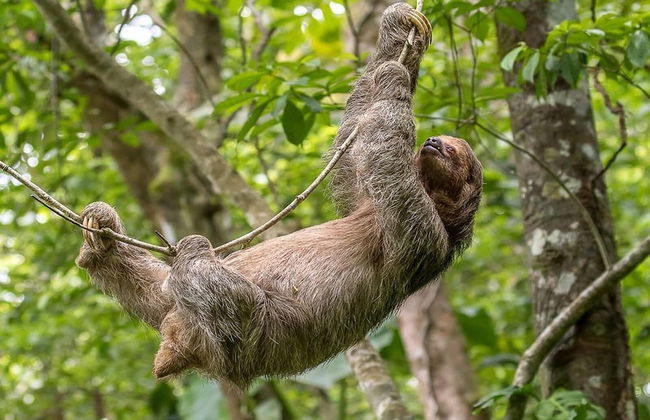 Charming unit that sleeps 4 - with pool - walking distance from Brasilito Beach - Photo 32