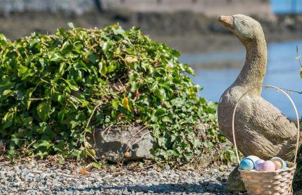 Min y Mor Menai - Foto 11