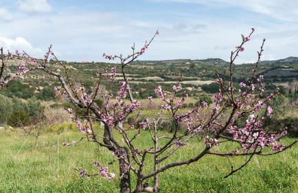 La Villa del Relax - Foto 66