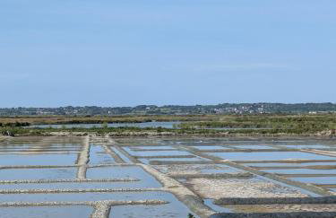 Studio l'Oasis - Piscine, plage de La Baule 10 min - Photo 33