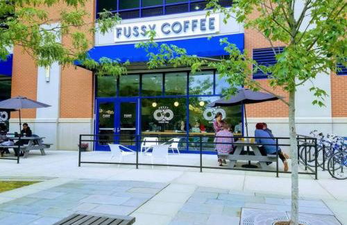 Peachy Paradise in East Rock Near DT/Yale - Foto 45