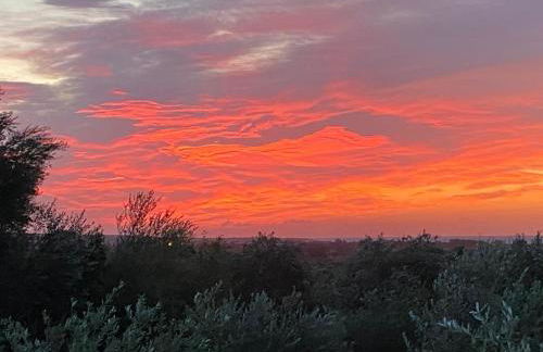 Cuccuru Relax - B IUN Q9882 - Foto 28