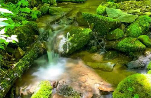 Nature's Paradise at 'The Reserve at Hot Springs' - Foto 11