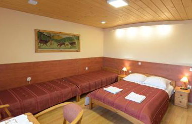 Agroturystyka Chmiel - Foto 20