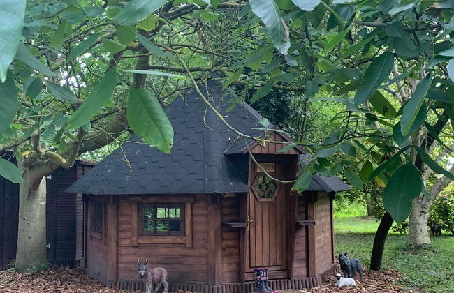 Starry Meadow - Foto 79