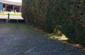 Ferme de la Ruette - Foto 6