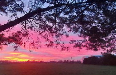 Silence Villa - Foto 32