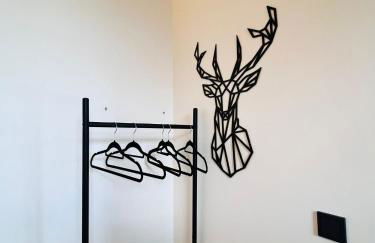 Royal Haus Chemnitz 3- Balkon nahe Zeisigwald - Foto 9