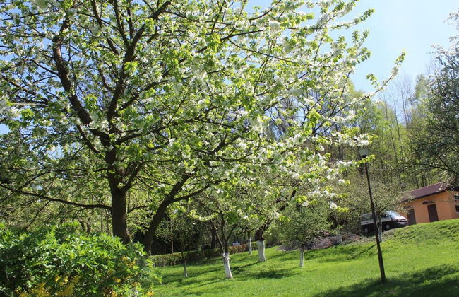 Zloty Potok Resort - Foto 47