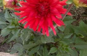 Casa Rural Caseta de l' Hort - Foto 40