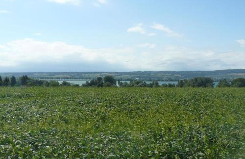 Ferienwohnung Naturhaus, 50qm - Photo 13