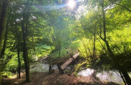 Forest View, ganzes Haus 100qm, 2 Schlafzimmer, 2 Bäder, Badewanne, Garten & Terrasse - Photo 12