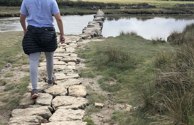 Shepherds Hut With Hot Tub, North Wales, Anglesey - Photo 12