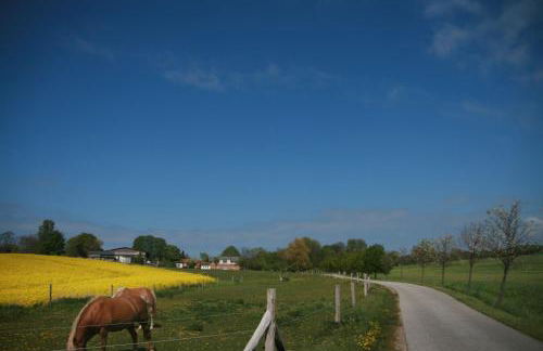 A12 Das rote Haus am Haff Roggow Ostseebad Rerik - Foto 28