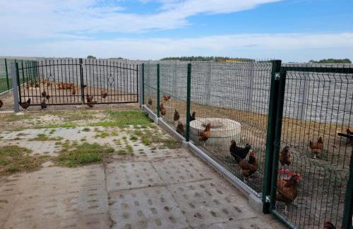 Agroturystyka Nowe Polaszki 10 - Foto 30