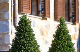 Pinelia Home - Foto 31