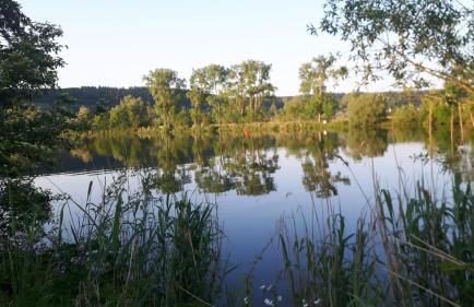 Apartment Schweich-Issel Familie Lentes NEU RENOVIERT - Foto 33