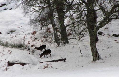 1 Bed in Alness oc-ca232 - Foto 18