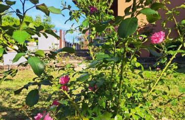 La Villetta dei nonni - Foto 18