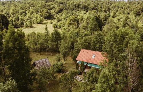 Relaxing Mountain House Poljana in Lika - Foto 48