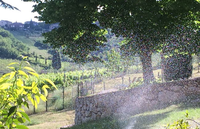 Relais Villa Casalta - Foto 73