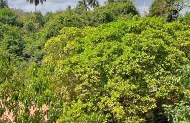 Apartamento Maria Farinha - Foto 14