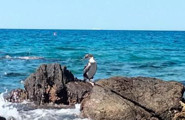 Casa Elena - Foto 23