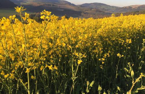 Ferienwohnung am Kreuzfelsen - Foto 6
