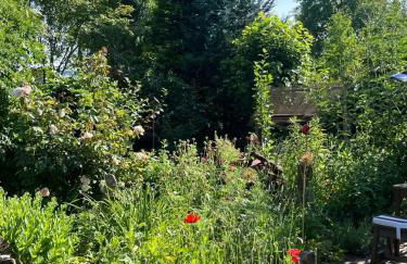 NurdachZeit - Nurdachhaus Ferienhaus - Foto 8