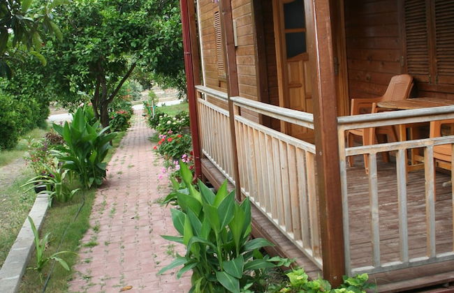 Naz Apart Cirali - Photo 21