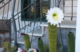 Casa di Giulia (Bambini gratis fino a 6 anni) - Foto 46