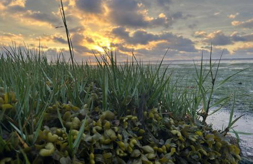 Gästehaus Bi de Ley - Foto 15