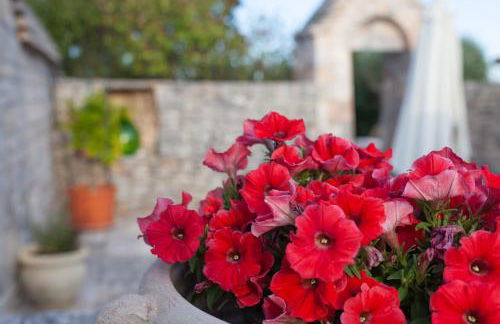 Trullo Siamese - Foto 58