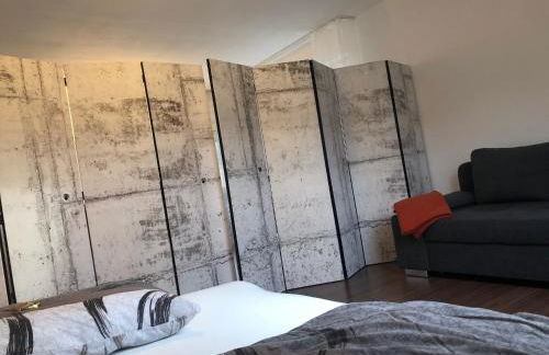 guest apartment niederalfingen - Foto 21