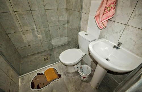 Capivara Urbana - Foto 17