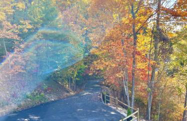 Lazy Bear Lodge cabin - Foto 152