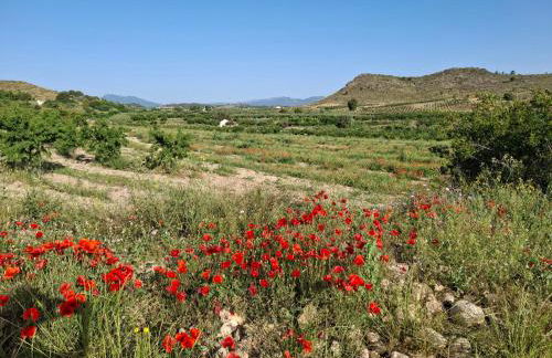 Casamarcati - Foto 14