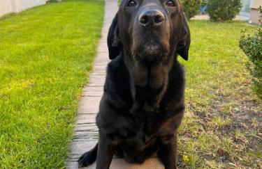 S&H Ferienwohnung - Foto 11