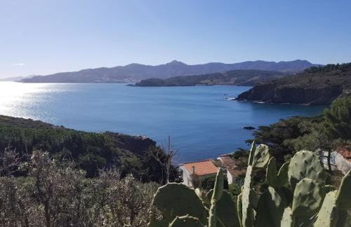 Belle villa classée 4 étoiles proche plage avec jardin - Foto 18