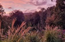 Podere La Gualda Vecchia alloggi di charme immersi nel Giardino Emozionale outdoor SPA - Foto 7