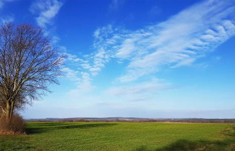 Stilvolle, voll ausgestattete Einraum-FeWo auf dem Kastanienhof Oetzen - Foto 24