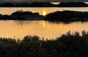 Duplex proche mer, avec swimspa terrasse, jardin et barbecue - Foto 37