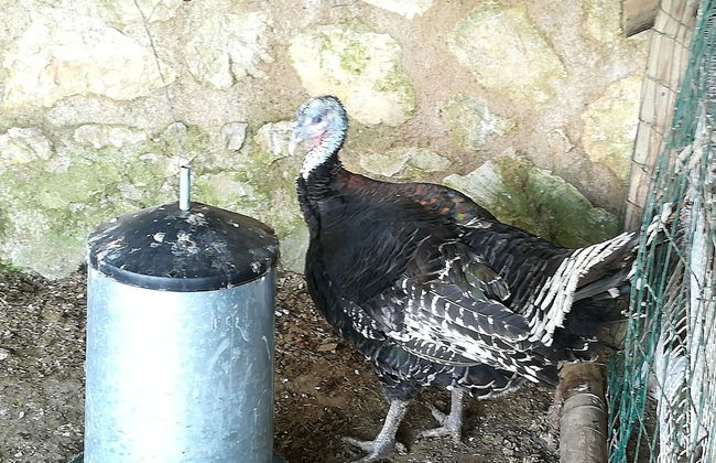 Agriturismo del Sole - Foto 34