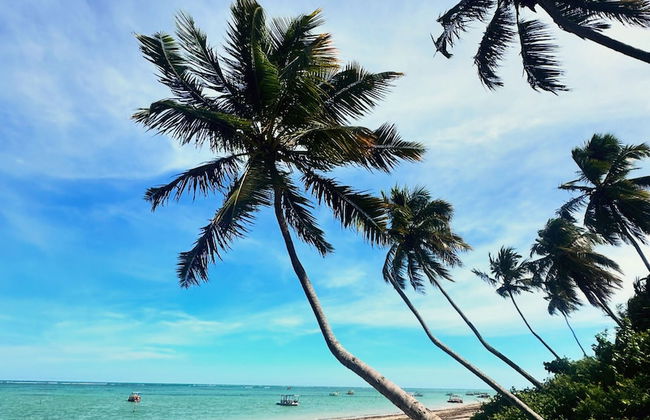 Villa Kamby Milagres B003 - Foto 32