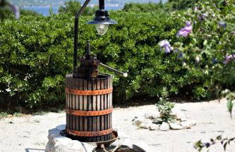 Fei Fei Apartments 2 - Photo 9