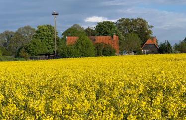 Ferienwohnung Segeln und Angeln - Foto 1