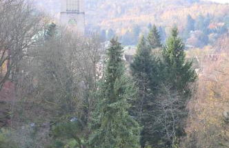 Stadt- Naturnah, Traumblick und Balkon - Foto 29