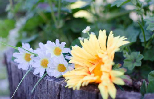 Agriturismo Pompagnano - Photo 8