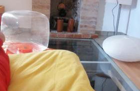 TRE METR SOPRA IL CIELO ''AcquAria'' - Foto 34